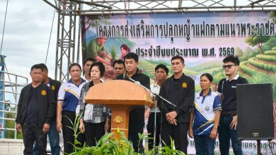 โครงการส่งเสริมการปลูกหญ้าแฝกตามแนวพระราชดำริ